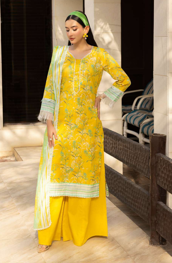 RB25-10 Unstitched 3 Piece Printed Collection 2025 Volume-1 by Raabi