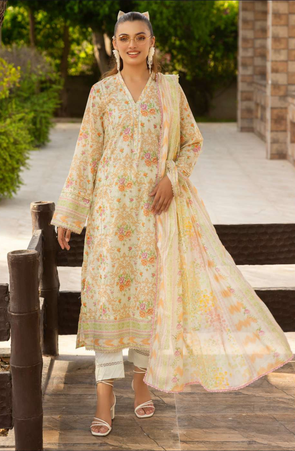 RB25-11 Unstitched 3 Piece Printed Collection 2025 Volume-1 by Raabi